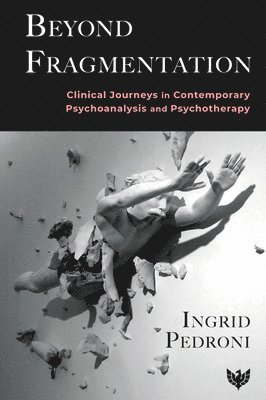 Ingrid Pedroni - Beyond Fragmentation, Häftad