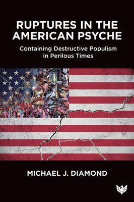 Michael J. Diamond - Ruptures in the American Psyche, Häftad