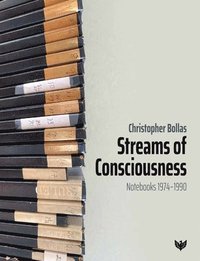 bokomslag Streams of Consciousness