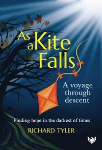 bokomslag As a Kite Falls