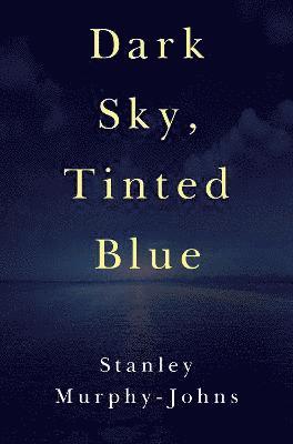 Stanley Murphy-Johns - Dark Sky, Tinted Blue, Häftad