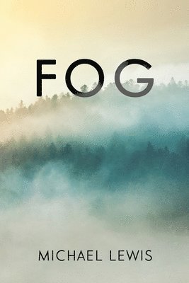 bokomslag Fog