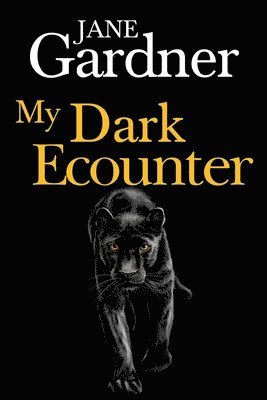 bokomslag My Dark Encounter