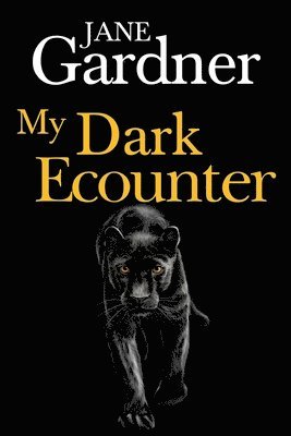 My Dark Encounter 1