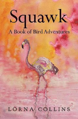 bokomslag Squawk: A Book of Bird Adventures