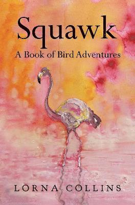 Lorna Collins - Squawk: A Book of Bird Adventures, Häftad