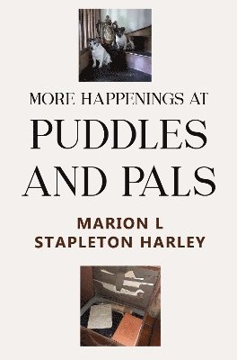 More Happenings at PUDDLES AND PALS 1