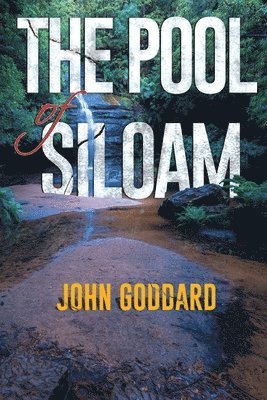 John Goddard - Pool of Siloam, Häftad