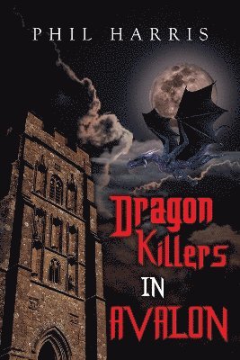 bokomslag Dragon Killers in Avalon