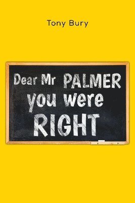 bokomslag Dear Mr Palmer you were right