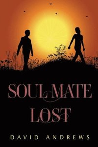 bokomslag Soul Mate Lost