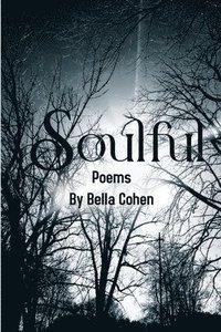 bokomslag Soulful