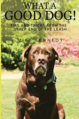 Mike Kennedy - What a Good Dog! Tips and Tricks from the Other End of the Leash., Häftad