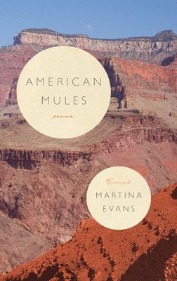 American Mules 1