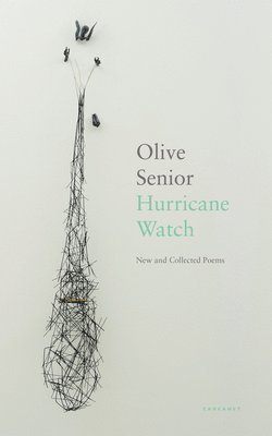 Olive Senior - Hurricane Watch, Häftad