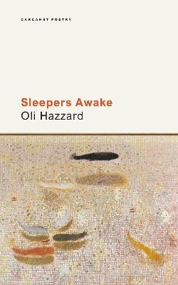 bokomslag Sleepers Awake