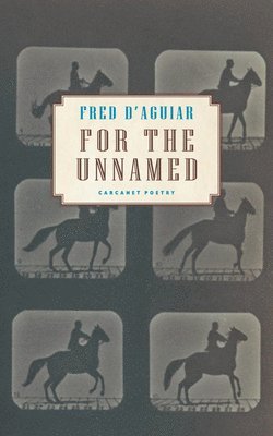 Fred D'Aguiar - For the Unnamed, Häftad