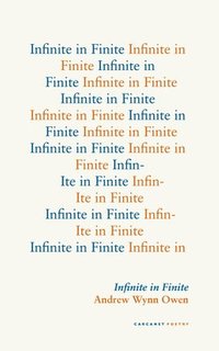 bokomslag Infinite in Finite