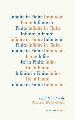 bokomslag Infinite in Finite