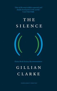 bokomslag The Silence