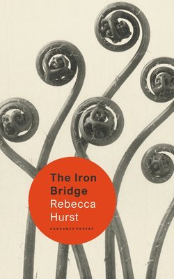 Rebecca Hurst - Iron Bridge, Häftad