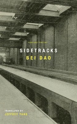 bokomslag Sidetracks