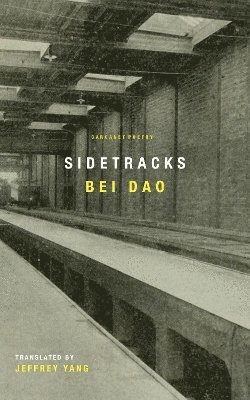 bokomslag Sidetracks