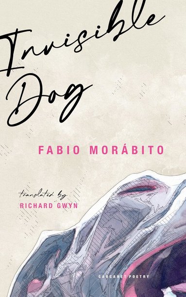 Fabio Morabito - Invisible Dog, Häftad