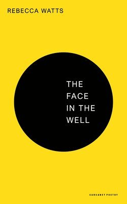 bokomslag Face in the Well