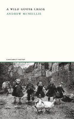Andrew McNeillie, Andrew Mcneillie - Wild Goose Chase, Häftad