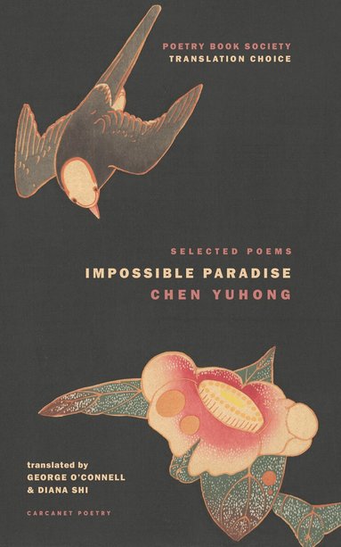 Yuhong Chen - Impossible Paradise, Häftad