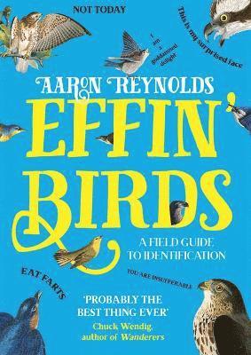 Effin' Birds 1