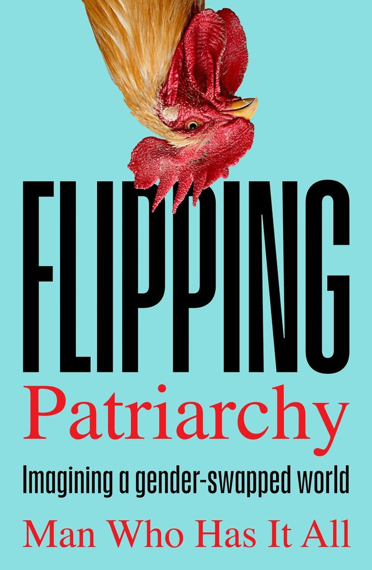 Man Who Has It All - Flipping Patriarchy, Häftad