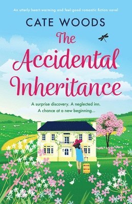 Accidental Inheritance 1