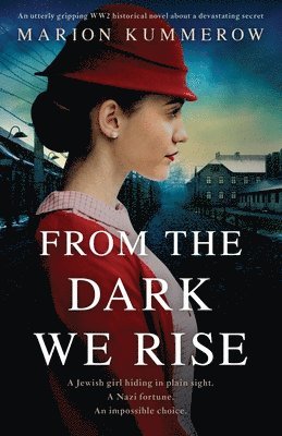 bokomslag From the Dark We Rise