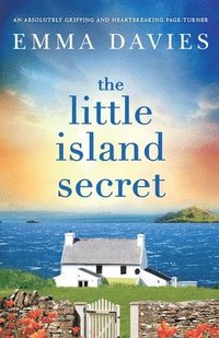 bokomslag Little Island Secret