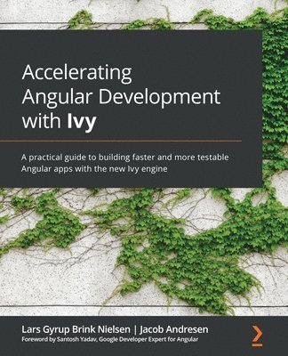 Accelerating Angular Development with Ivy 1