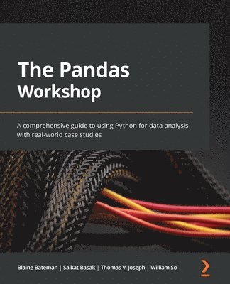 Blaine Bateman, Saikat Basak, Thomas V. Joseph, William So - Pandas Workshop, Häftad