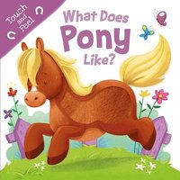 bokomslag What Does Pony Like?: Touch & Feel Board Book