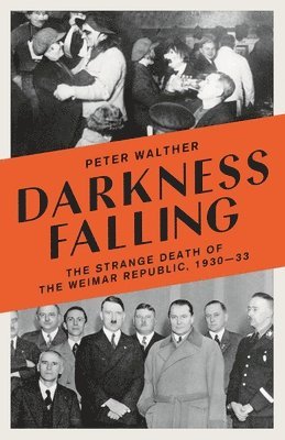 Peter Walther - Darkness Falling, Häftad
