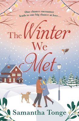 The Winter We Met 1