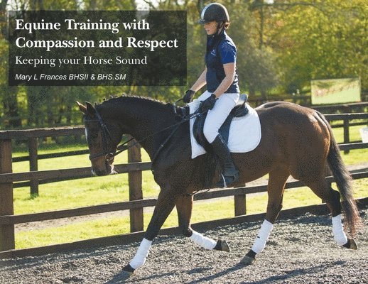 Equine Training with Compassion and Respect 1