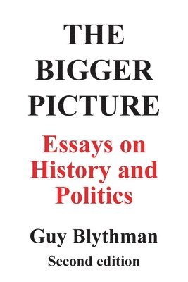 bokomslag Bigger Picture: Essays on History and Politics (Second Edition)
