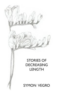 bokomslag Stories of Decreasing Length