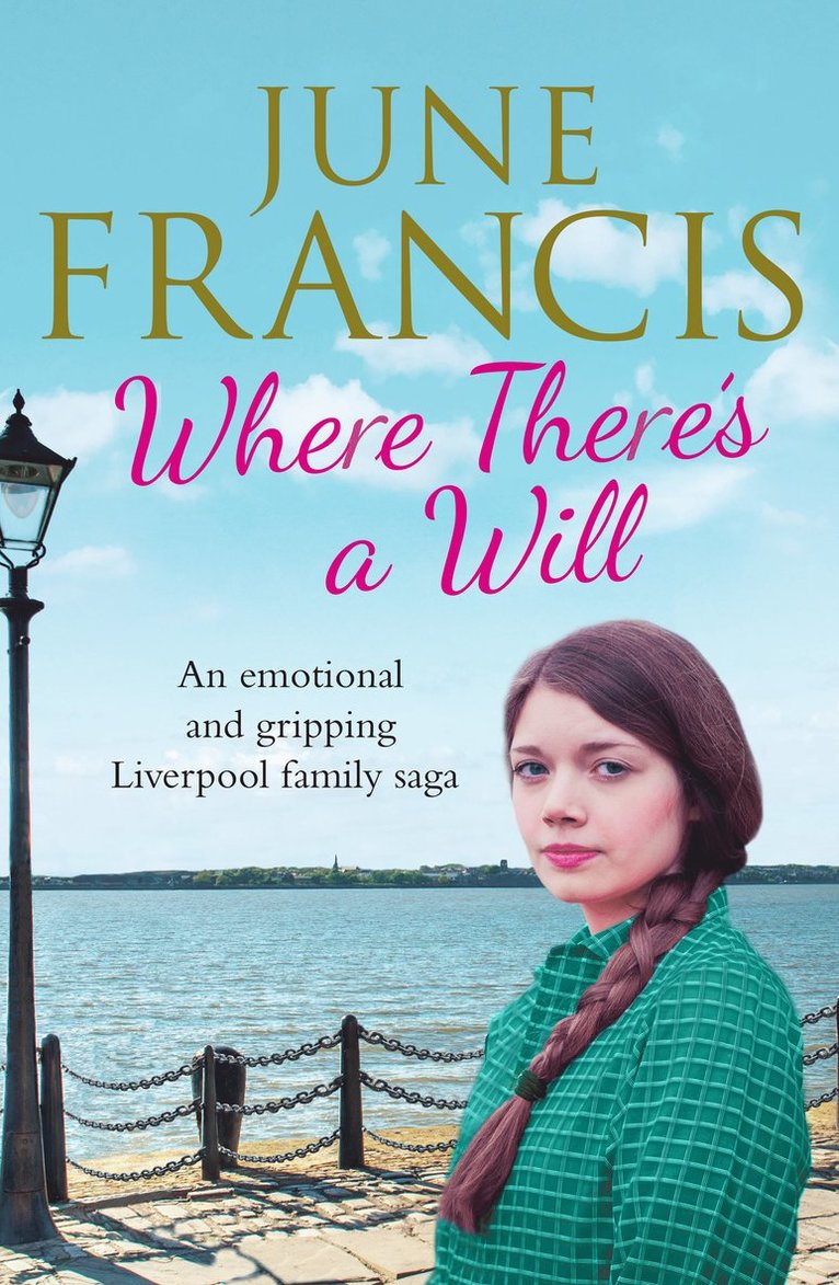 June Francis - Where There's a Will, Häftad