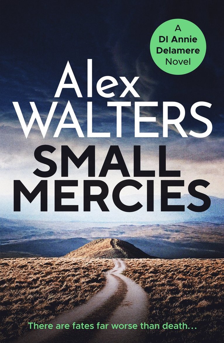 Alex Walters - Small Mercies, Häftad
