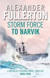 bokomslag Storm Force to Narvik