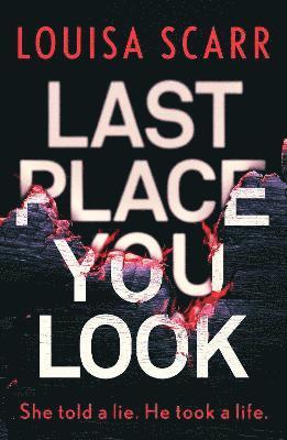 Last Place You Look 1