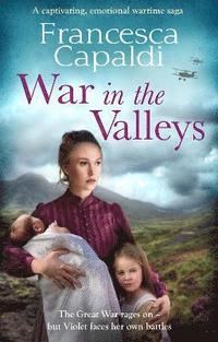 bokomslag War in the Valleys