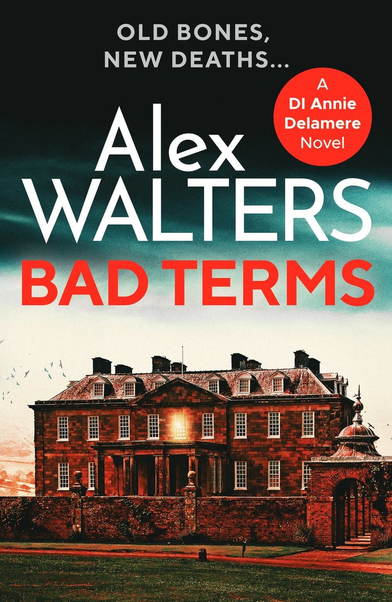 Alex Walters - Bad Terms, Häftad